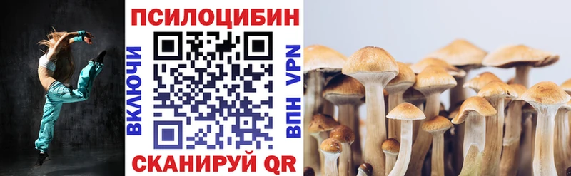 Псилоцибиновые грибы GOLDEN TEACHER  где купить   Борзя 