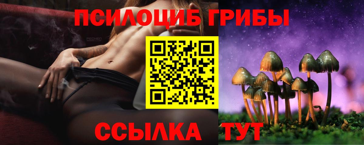 Борзя  Галлюциногенные грибы мухоморы  где можно купить   Вход с VPN 
