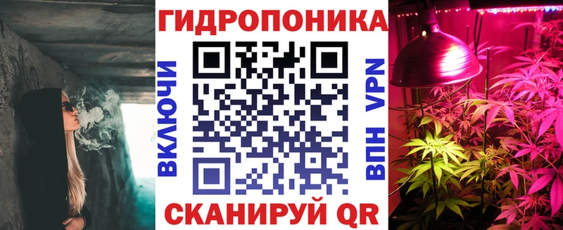 omg ссылка  Борзя  Шишки марихуана план 